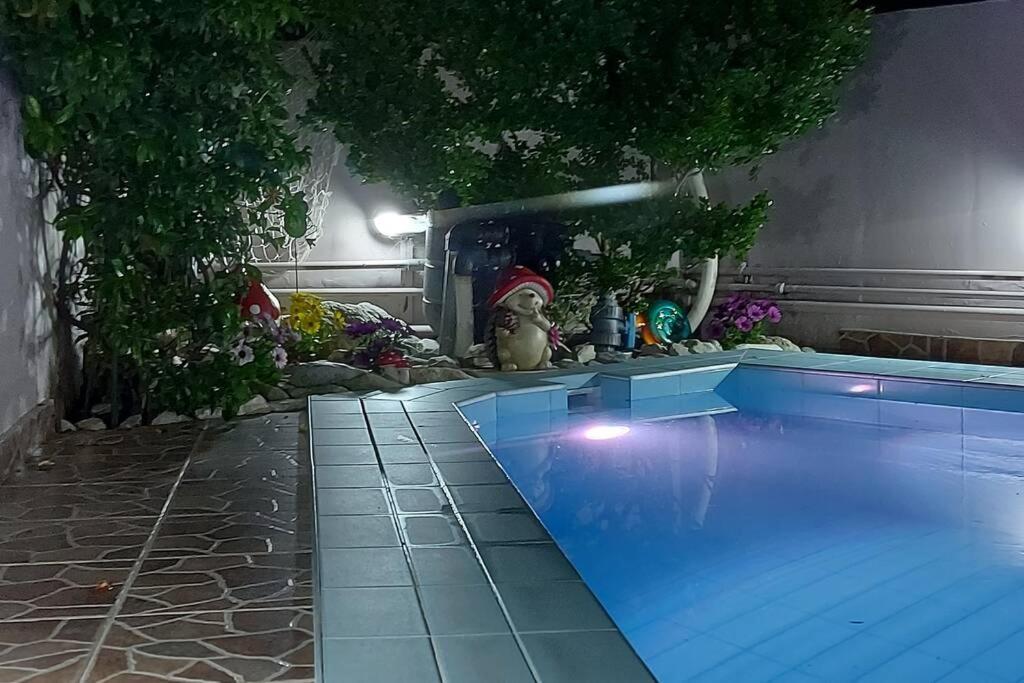 Violet Studio Με Πισίνα Golos Dış mekan fotoğraf